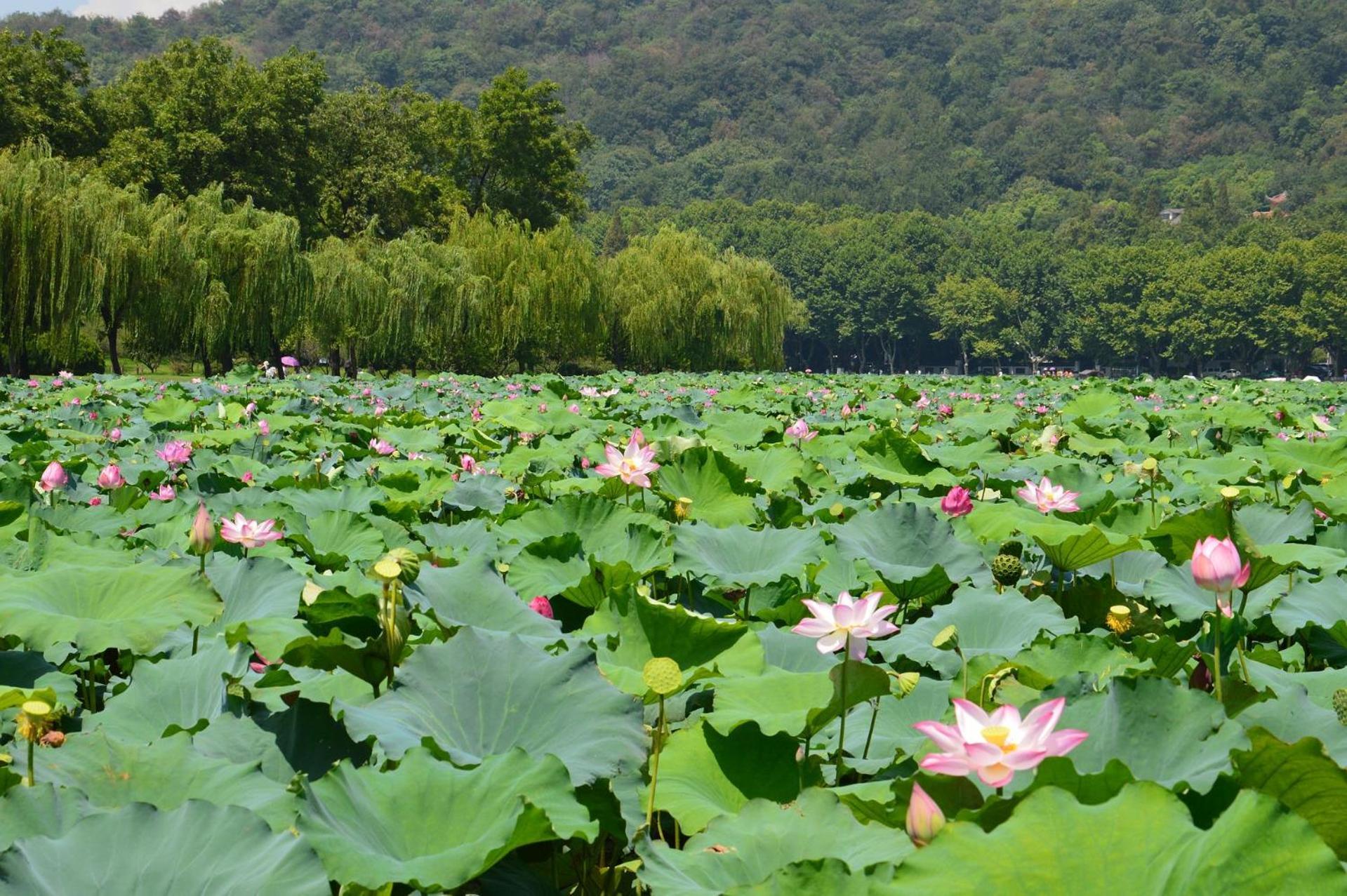 Nost Algia S Hotel In The West Lake Scenic Area-,Lingyin Temple, Leifeng Tower, Children'S Playground, Free Night Snack, Free Laundry, English Communication Well, Free Travel Advice Ханчжоу Экстерьер фото
